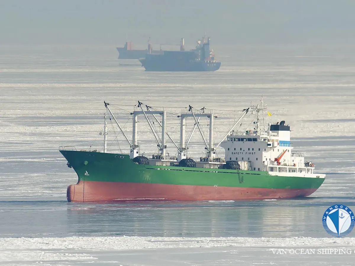 Reefer ship for sale