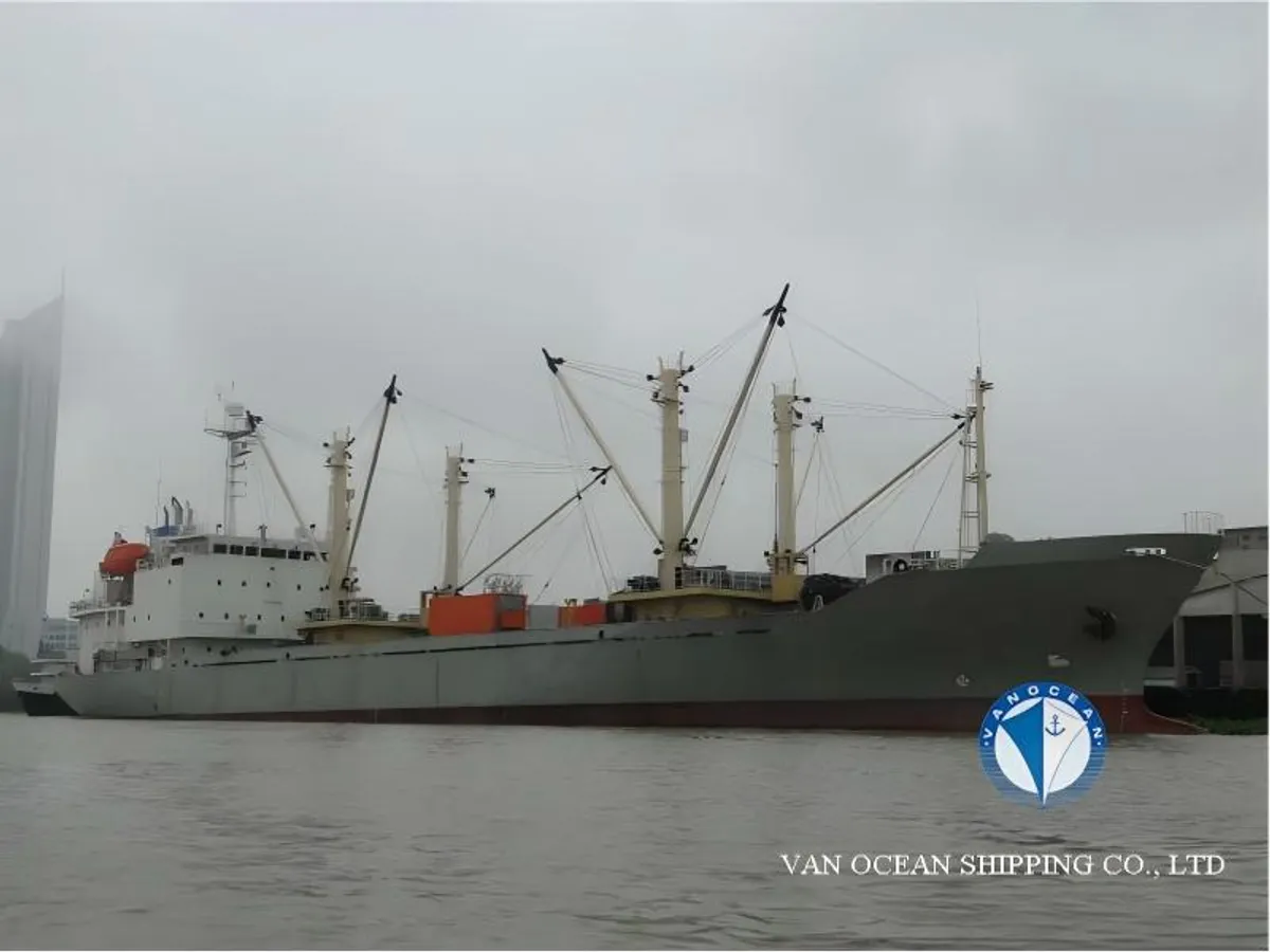 Reefer ship for sale