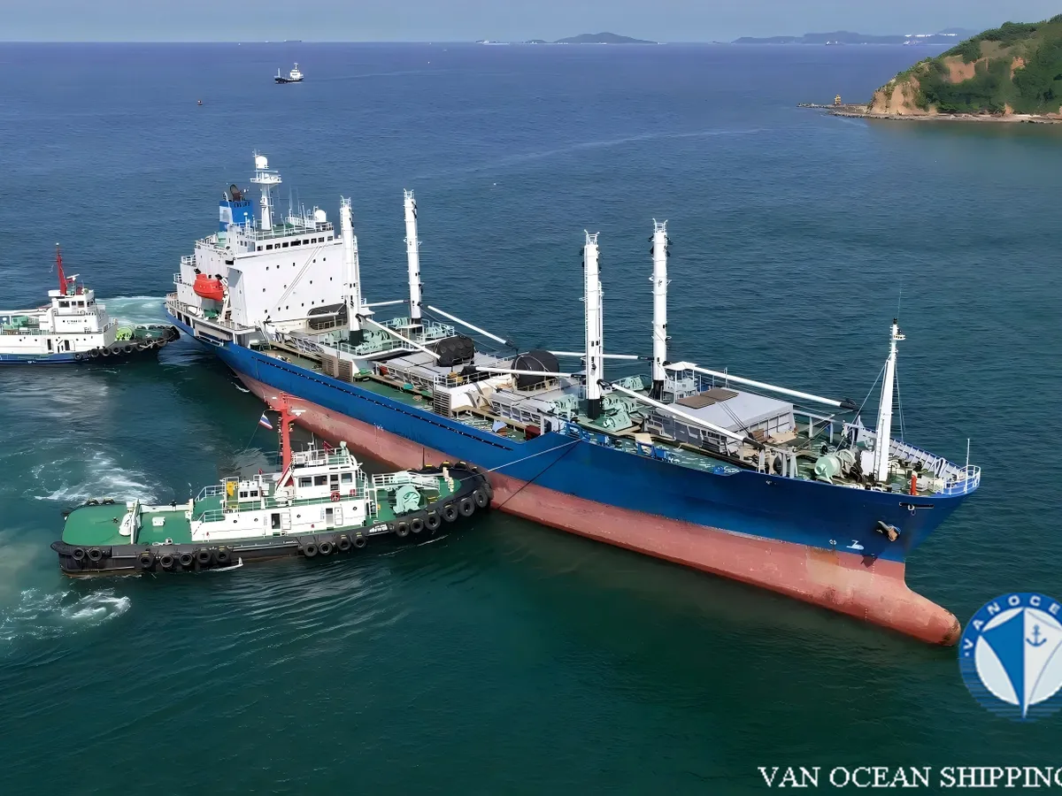Reefer ship for sale