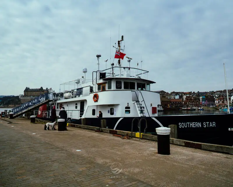 Survey vessel for sale