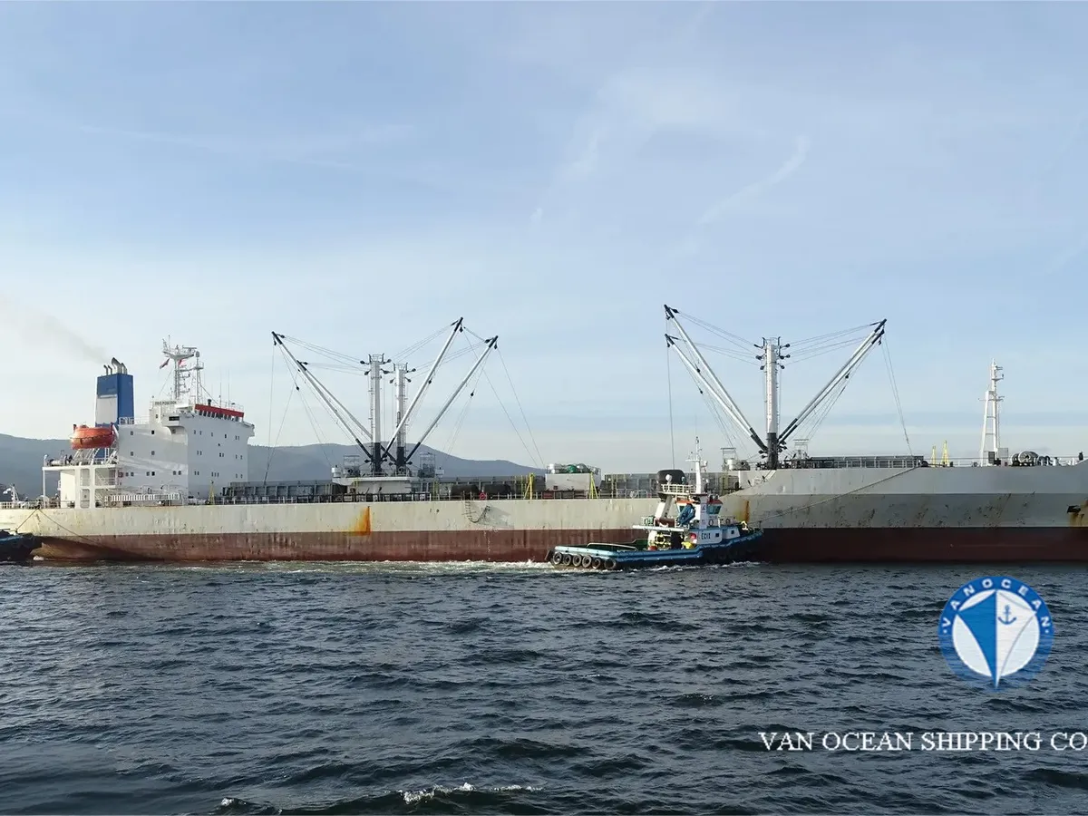 Reefer ship for sale