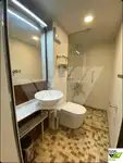 Cruise ship for sale