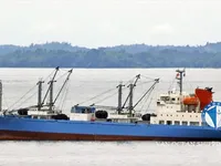 Reefer ship for sale