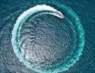 Patrol boat for sale