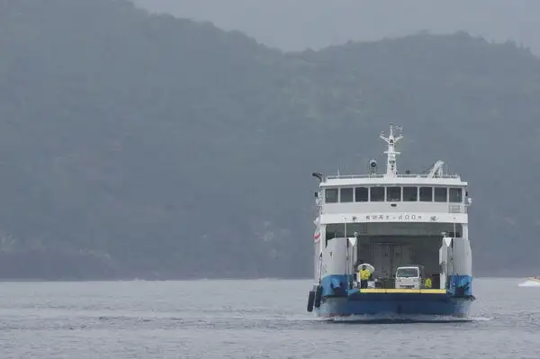 Ro-Ro ship for sale