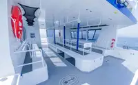 Catamaran for sale