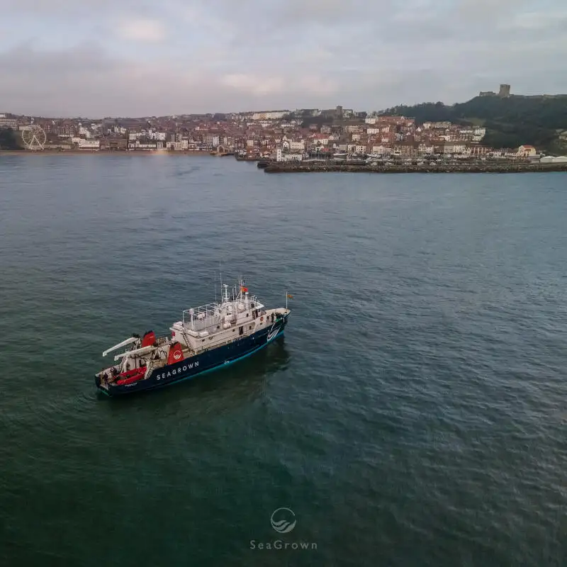 Survey vessel for sale
