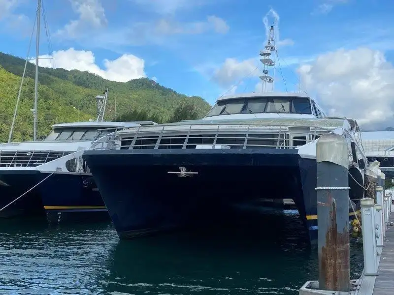 Catamaran for sale