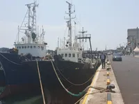 Trawler for sale