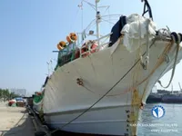Squid jigger for sale