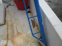 Trawler for sale