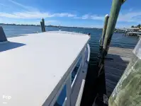 Cruiseferry for sale