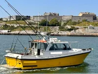 Pilot boat for sale