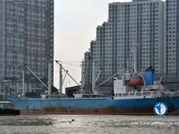 Reefer ship for sale