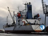 Reefer ship for sale