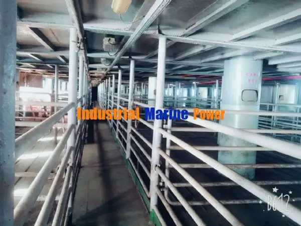Livestock carrier for sale