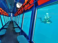 Tour boat for sale