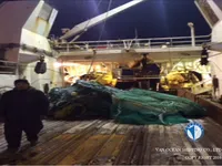 Trawler for sale