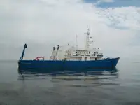 Multi-purpose for sale