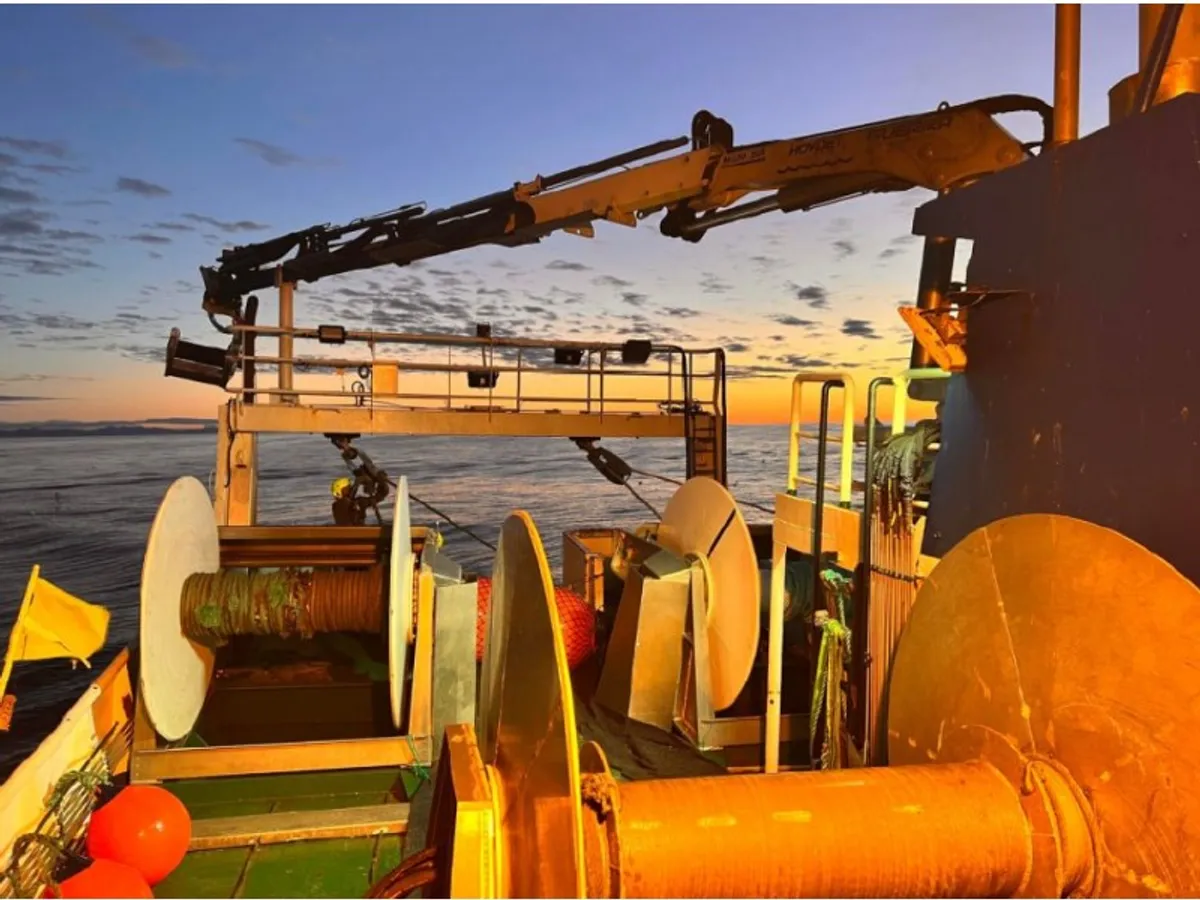 Ferry vessel for sale