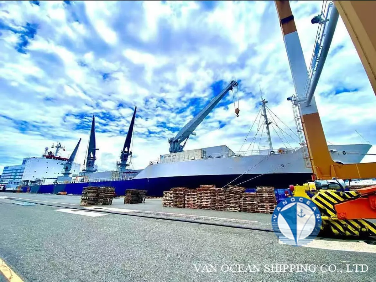 Reefer ship for sale