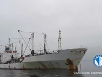 Reefer ship for sale