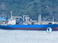 Reefer ship for sale