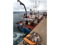 Workboats for sale