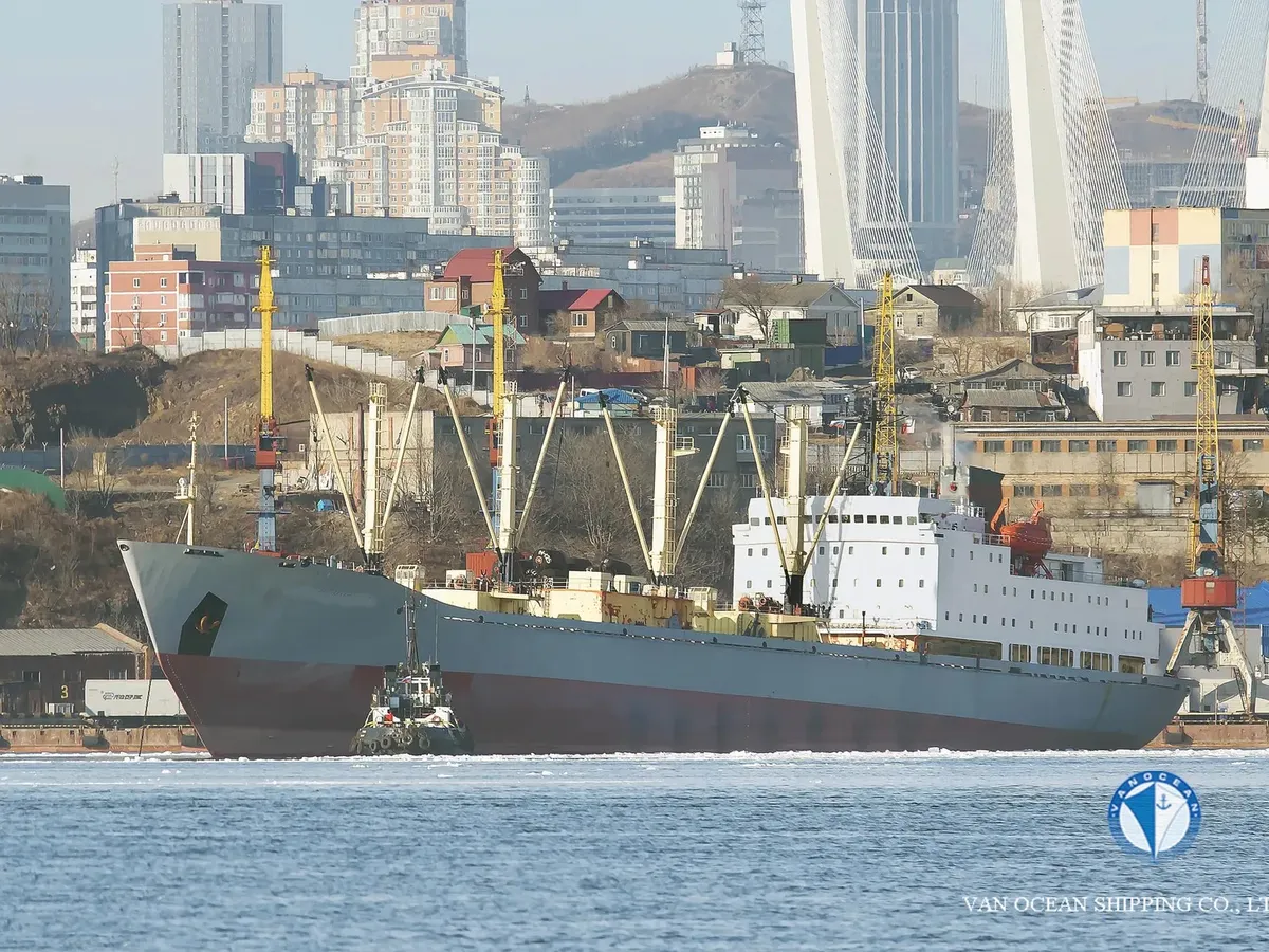 Reefer ship for sale