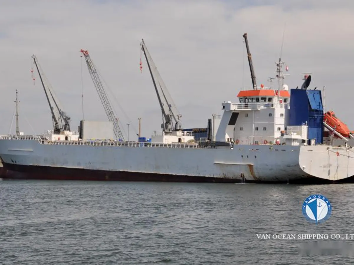 Reefer ship for sale