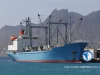 Reefer ship for sale