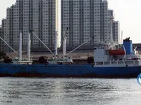 Reefer ship for sale
