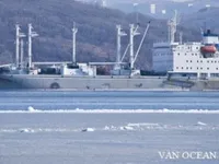 Reefer ship for sale