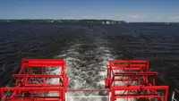 Container ship for sale
