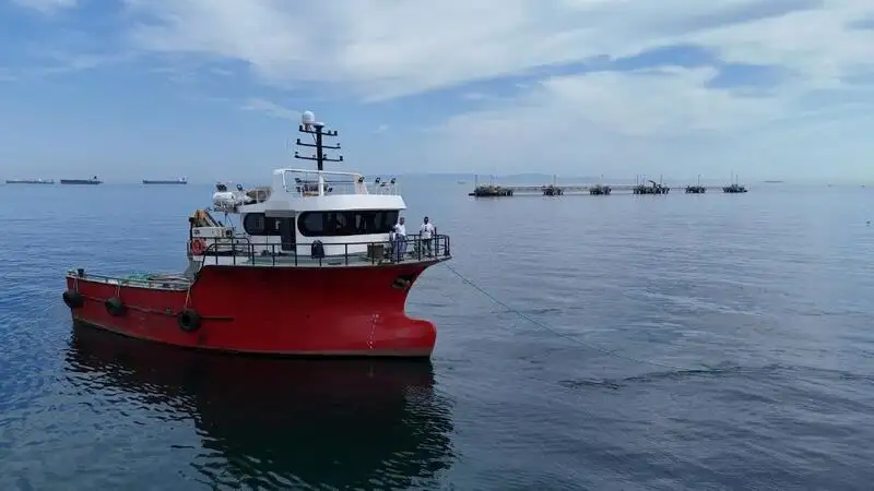 Workboats for sale