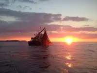 Trawler for sale