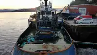 Towboat for sale