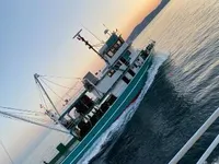 Purse seiner for sale