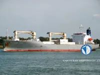 Reefer ship for sale
