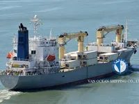 Reefer ship for sale