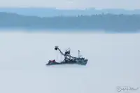 Purse seiner for sale