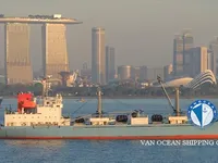 Reefer ship for sale