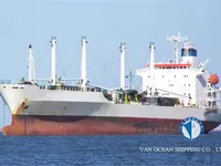 Reefer ship for sale