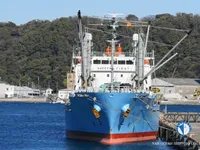 Reefer ship for sale