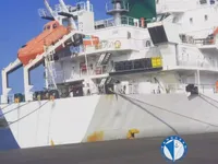 Reefer ship for sale