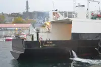 Ro-Ro ship for sale