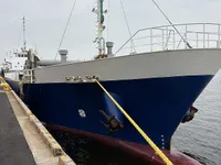 General Cargo/Multi-purpose for sale