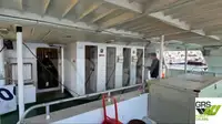 Cruise ship for sale