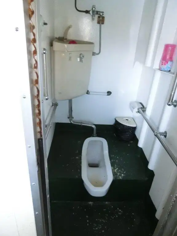 Cruise ship for sale