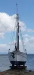 Ferry vessel for sale